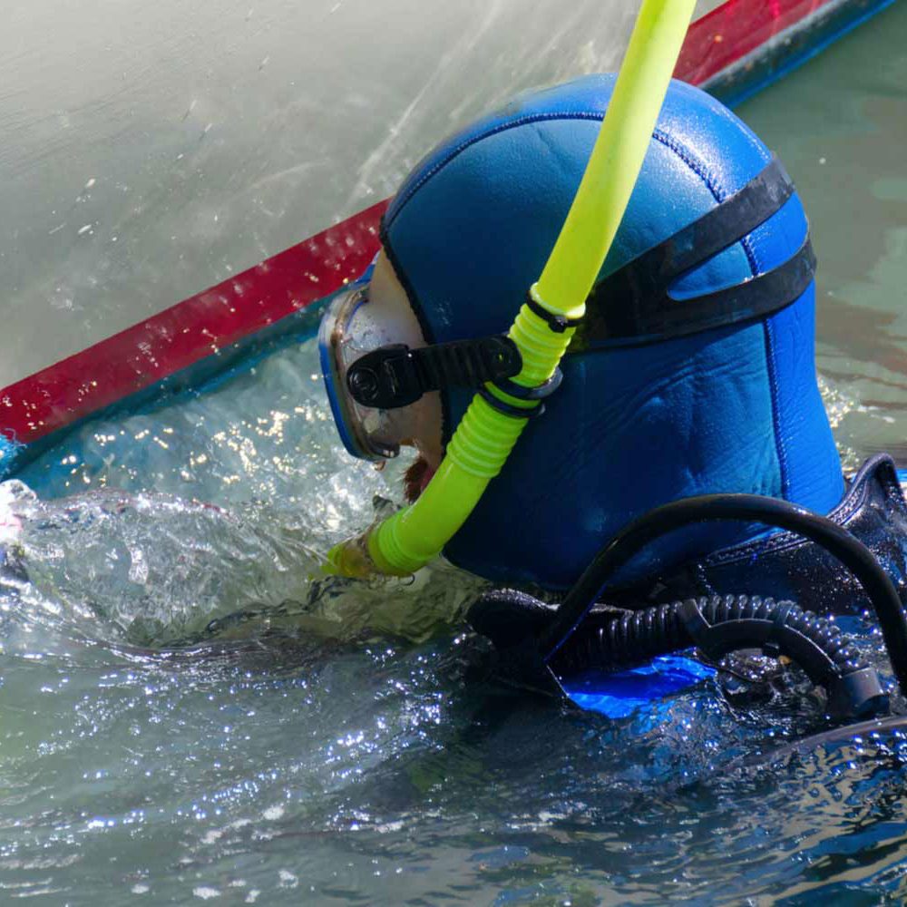 Dolphin-Dive-Services-scrubbing